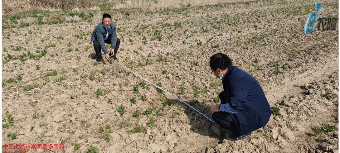 春天里，太保战“疫”的速度和温度-上海雨映汽车服务中心
